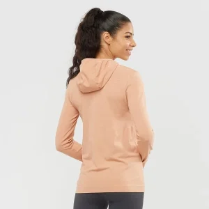 destockage SALOMON COMET SEAMLESS HOODIE W SIROCCO/SHELL 22 15