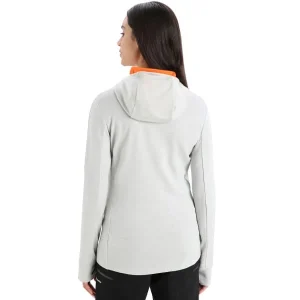 à prix d'occasion ICEBREAKER W QUANTUM III LS ZIP HOOD ETHER/F 23 12