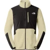 outlet THE NORTH FACE M GLACIER PRO FZ GRAVEL/TNFBLACK 23 7