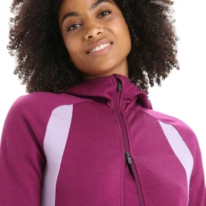 Retour gratuit en magasin. ICEBREAKER MERINO W ZONEKNIT LS ZIP HOODIE GO BERRY/PURPLE GAZE/CB 23 16