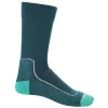 en promotion ICEBREAKER MERINO W HIKE+ LIGHT CREW GREEN GLORY/FRESH 23 5