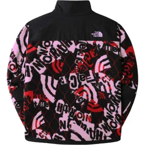 Couleurs variées THE NORTH FACE M PRINTED DENALI JACKET LVNDRFGCOLENAVNHLFDMPRINT 23 6